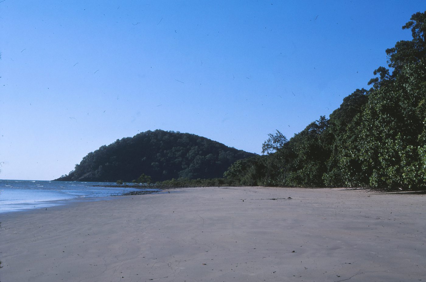 Cape Tribulation et la forêt du Daintree